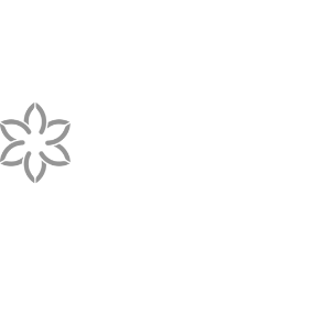 KOUT Web Design Agency Client