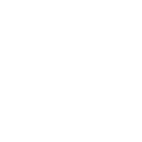 BlueBolt Web Design Agency Client – 2