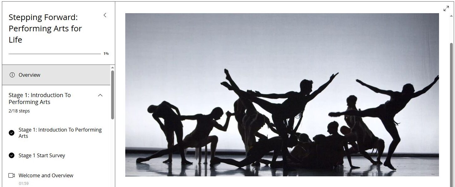 Stepping forward project